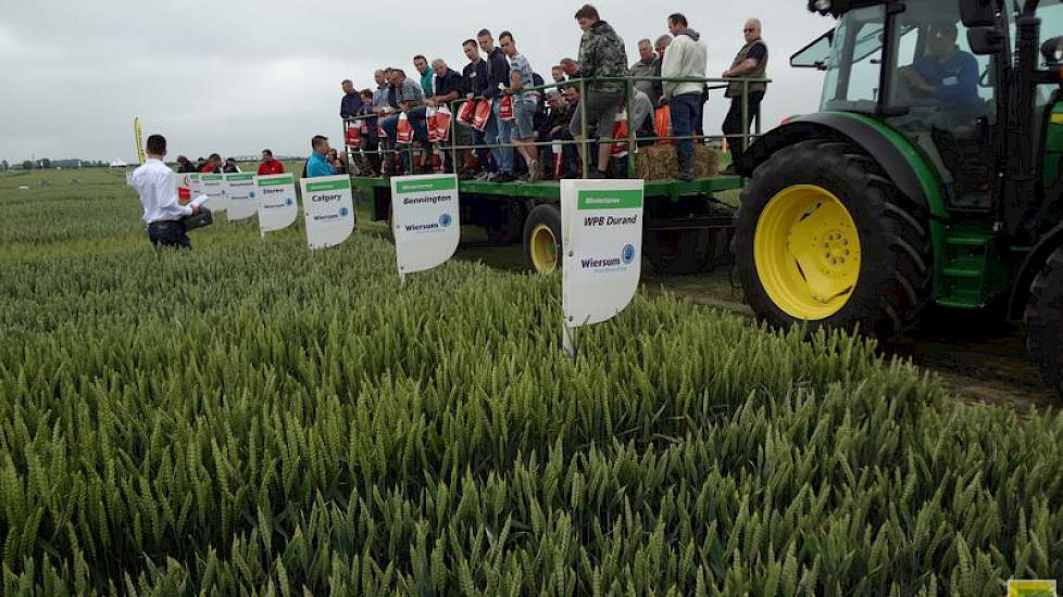 In korte pitches passeerden  de kwaliteiten van de verschillende rassen de revue.