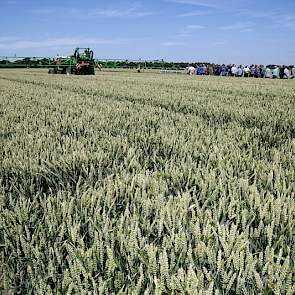 Smith: „In het graangewas hebben we een boerenproefje met watergevoelig papier op vlagbladhoogte uitgevoerd. Er is gespoten met 1,2,3 en 4 bar. De proef inzake driftreductie is een samenwerking van de proefboerderij, SPNA en VVB Oldambt.”