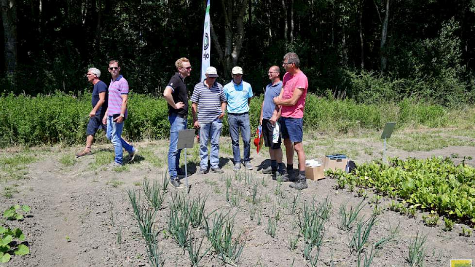 Naast veel graan lag er  ook een demoveld met biogewassen.