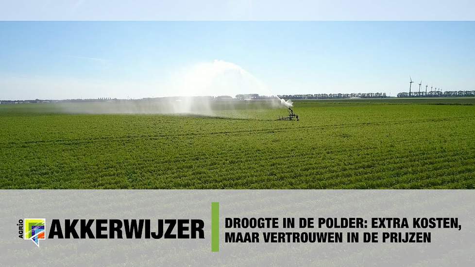 Droogte in de polder: Extra kosten, maar vertrouwen in de prijzen