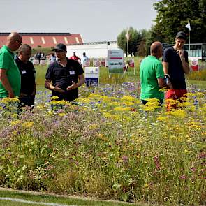 In de gewasdemonstratie groenbeheer/biodiversiteit hebben de verschillende mengsels gezorgd voor een uitgebreid kleurenpalet.