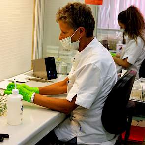 Op het lab van Limagrain/Hazera wordt in zogeheten flowkasten gewerkt aan de vermeerdering van gewassen als  koolzaad, brassica, prei en ui.