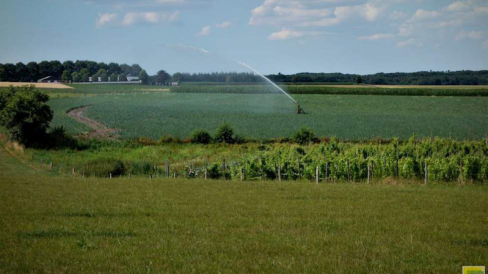 Om het perceel hier op de stuwwal in een zo goed mogelijke conditie te houden is het volgens Hans de kunst om de grond niet al te fijn neer te leggen. „Liever wat grover, dat is beter voor het tegengaan van de erosie, maar voor de onkruidbestrijding is da