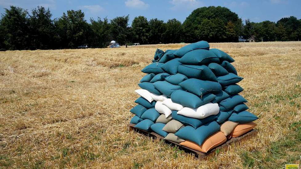 De gelabelde graanzakken gaan vanuit Vredepeel naar de Nederlandse vestiging van Lantmännen SW Seed in Emmeloord. Hier wordt de triticale verder behandeld en beoordeeld.