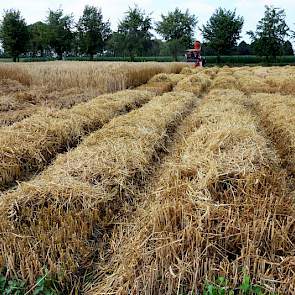 De triticale-teeltproef was verdeeld over bijna 900 proefveldjes.