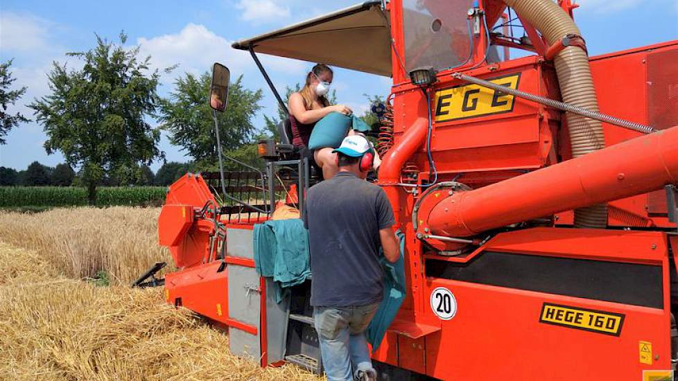 Bij de andere proefveldcombine is het bedrijfsleider Marc Kroonen die vanaf het stoppelveld het dorswerk aanstuurt. Op de combine zorgen collega's dat alles goed gaat met dorsen en de graanregistratie van de geoogste proefveldjes.