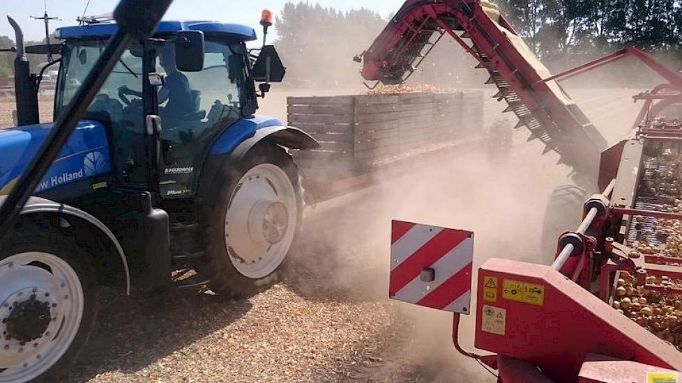 Inmiddels heeft Haartsen deze week wel zijn plantuien van de akker gerooid en tijdelijk in de schuur opgeslagen.