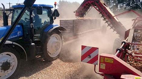 Inmiddels heeft Haartsen deze week wel zijn plantuien van de akker gerooid en tijdelijk in de schuur opgeslagen.