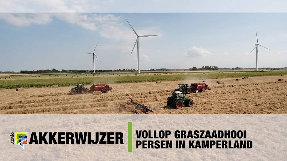 Volop graszaadhooi persen in Kamperland