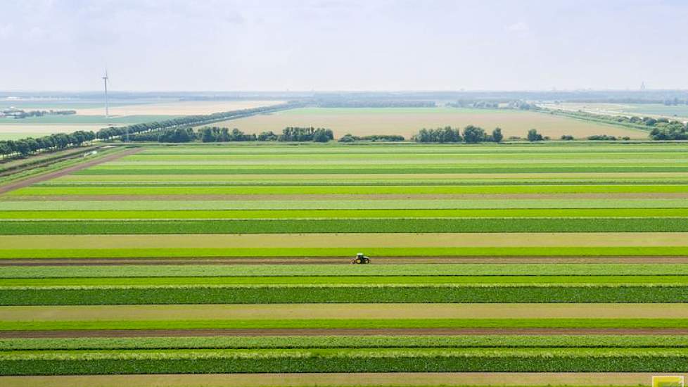 Beeld vanuit een drone op de strokenteelt tussen Almere en Zeewolde. Foto: ERF bv en Flevolandschap