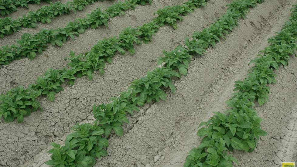 Column: Blog Henk Nienhuis: Rondje Veenkoloniën