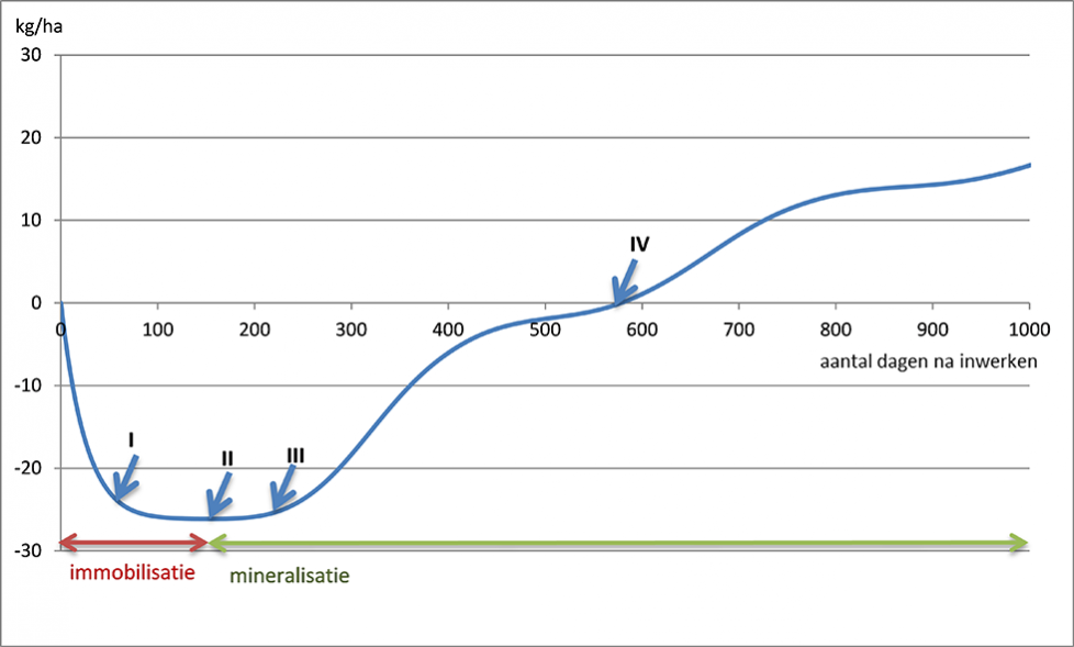 Figuur 1. Cumulatieve stikstofimmobilisatie en -mineralisatie uit graanstoppel en 4 ton stro/ha ingewerkt op 1 september (C/N 75). Simulatie met mineralisatiemodel Minip (Janssen en Yang)
