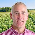Steven Dorrestijn