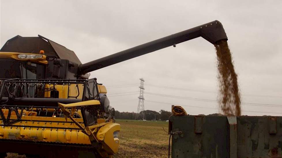 1 november: De container met de sojabonen is afgevoerd naar de verwerkingslocatie van Agrifirm in Emmeloord. Hier wordt de oogst geschoond en gedroogd. Agrifirm Plant verzorgt de afzet van deze soja in een pool.