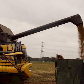 1 november: De container met de sojabonen is afgevoerd naar de verwerkingslocatie van Agrifirm in Emmeloord. Hier wordt de oogst geschoond en gedroogd. Agrifirm Plant verzorgt de afzet van deze soja in een pool.