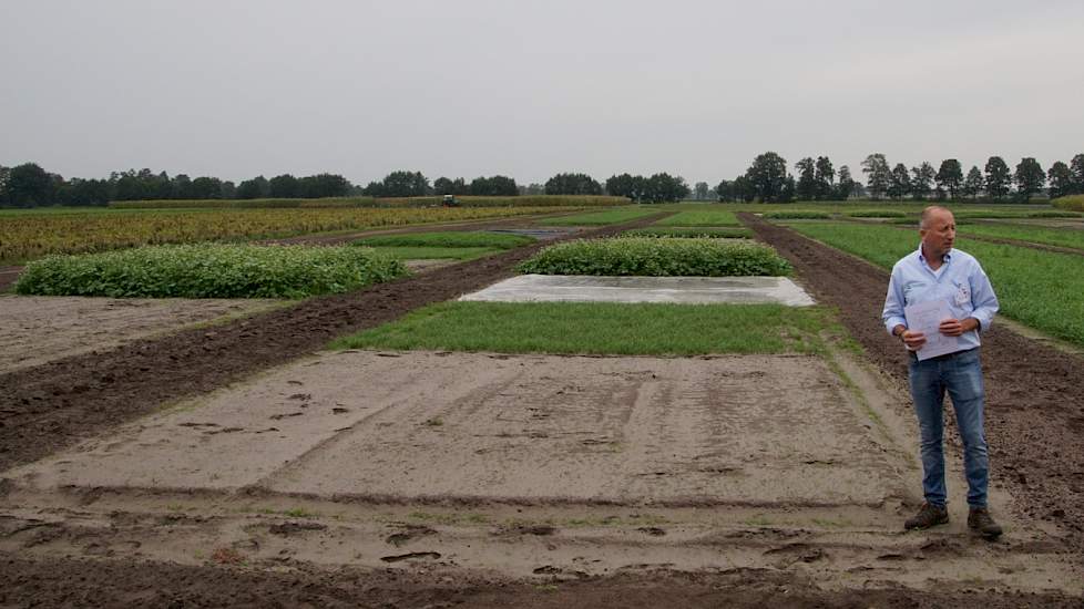 Groenbemesters Vredepeel