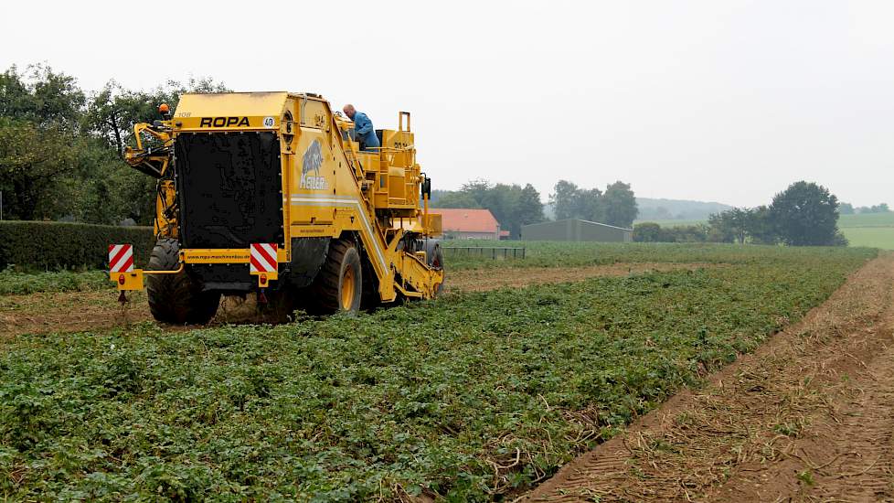 Op een perceel aan de Oude Kleefsebaan in Groesbeek (GD) heeft akkerbouwer Hans Lamers uit het naburige Breedeweg afgelopen donderdag 4 hectare aardappels gerooid.