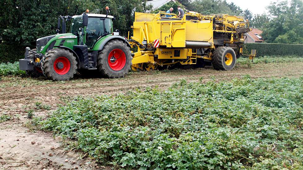 De oogst van dit perceel schat Lamers op 45 ton bruto. „Wat het netto wordt dat hoor ik over een week of twee wel. Ze gaan naar allemaal naar Aviko.”