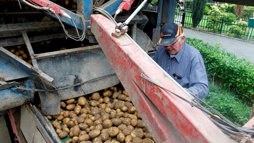 En voordat de aardappelen via de opvoerband op de wagen gaan houdt vader Gerrit Lamers nog een laatste check.