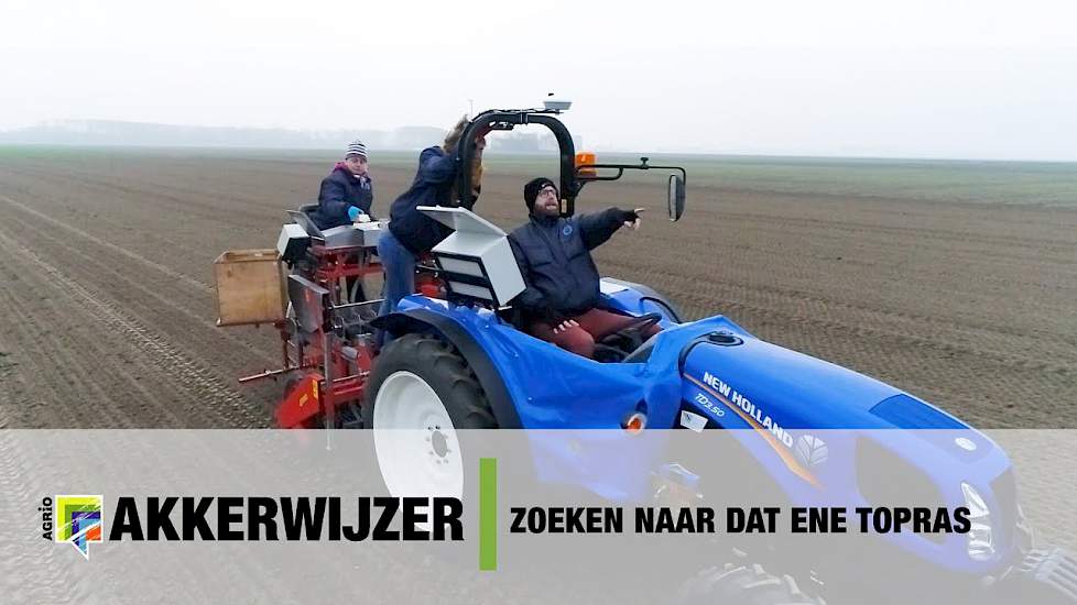 Zoeken naar dat ene topras zomertarwe