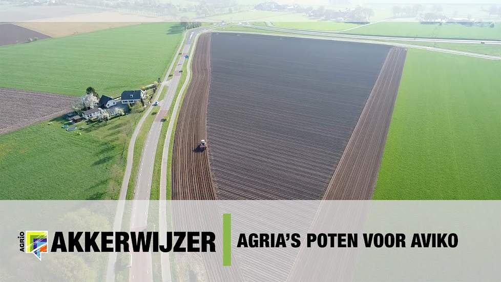 Agria aardappels poten voor Aviko - John Deere 6430 en Gruse pootmachine