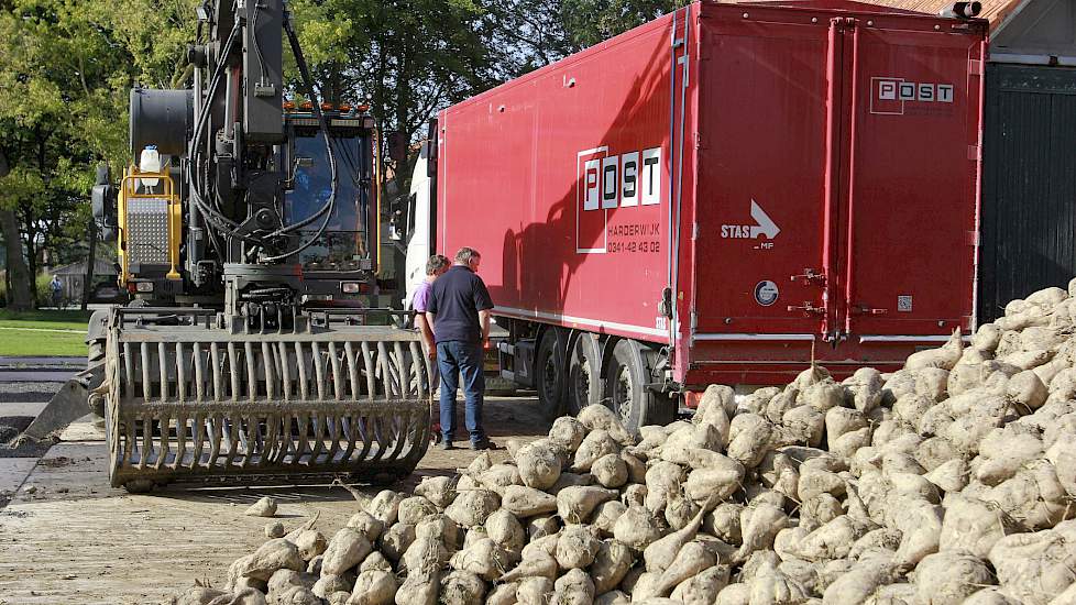 De Lonneka’s zijn volgens Wouda niet beregend. „Ook na 2,5 maand zonder neerslag kun je er niks aan zien. Het bladerdek is weliswaar minder dik, vergelijkbaar met bieten in bijvoorbeeld Frankrijk. Maar we hadden hier geen slapende planten als gevolg van d