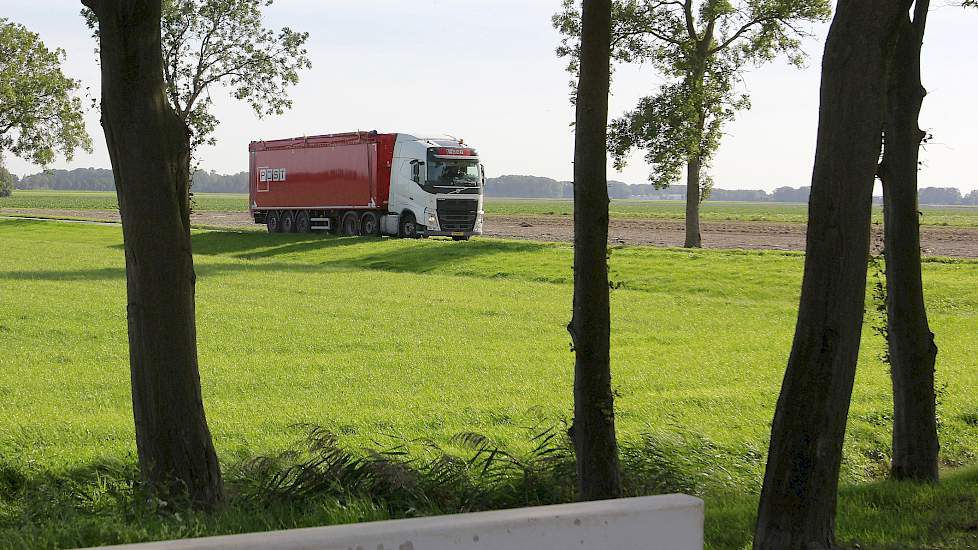 De grondstructuur van het proefveld in Nagele waar de suikerbieten dit jaar tot de 100 ton reiken is volgens Wouda goed op orde. „We telen op deze percelen ook veel wintertarwe in een roulatie van 1 op 2. En na de wintertarwe komt er dan weer een groenbem