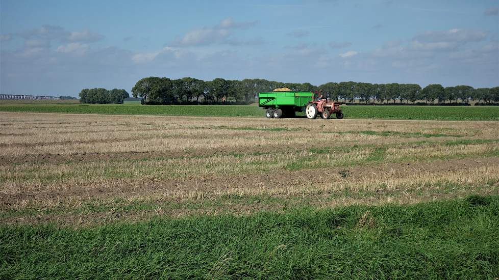 De opbrengst van de 4 hectare Loreley gaat eerst in opslag op het drie kilometer verderop gelegen bedrijf van de maatschap Lucas. Van daaruit gaan de tafelaardappelen naar de verwerker-inpakker om uiteindelijk op de schappen van een nog nader te bepalen s