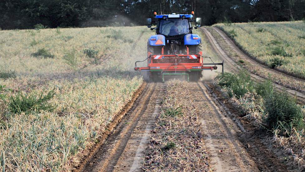 Over het ontstaan van de samenwerking met het Leurse collega-akkerbouwbedrijf Wall, zegt Len Beijer: „Wij hebben hier met de löss in Groesbeek goede grond voor uienteelt, Wall heeft op zijn beurt de machines voor het rooien en het binnenhalen van de uien.