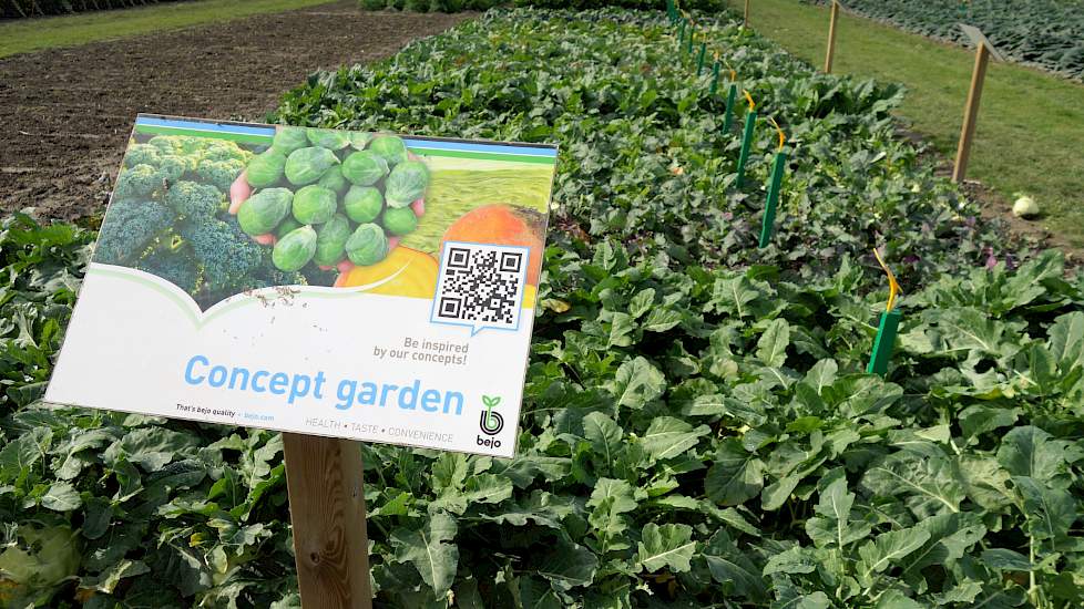 Na de introductie in 2016 dit jaar bij Bejo ook weer de Concept Garden waar bezoekers diverse concepten bij elkaar gegroepeerd konden zien.