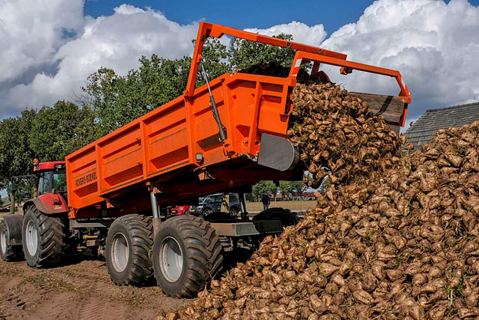 Achteruit rijden tot aan de hoop, niet op de bieten onderaan de hoop.