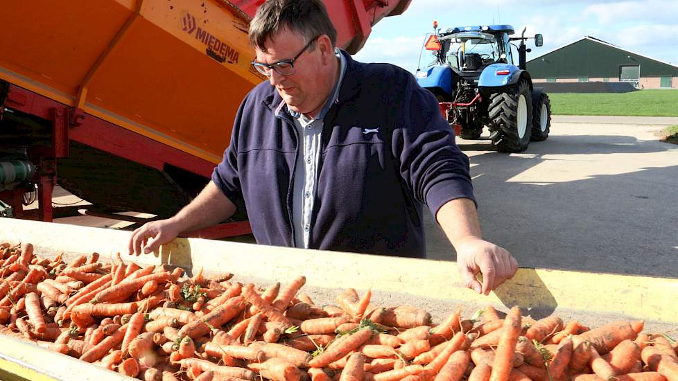 Boudeling hoopt nu dat er op korte termijn voldoende neerslag gaat vallen om de peen probleemloos te kunnen rooien. „Zo’n 40 millimeter verspreid over een week, dat is het mooiste. Wij leven met en van het weer.”