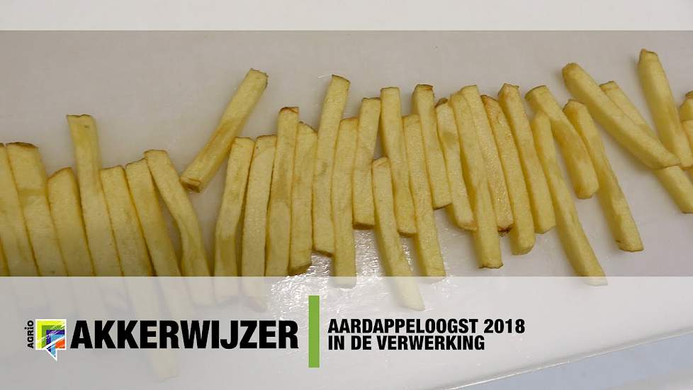 Aardappeloogst 2018 in de verwerking