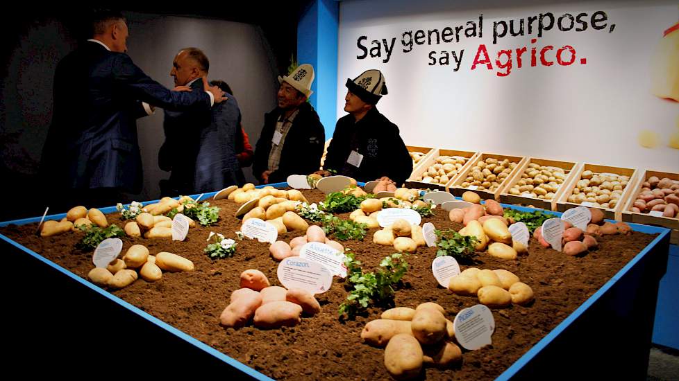 Na tal van andere landen in de afgelopen jaren stond de Agrico-locatie in Bant dit jaar geheel in het teken Oekraïne. Agrico-directeur Jan van Hoogen: „De aardappel is hier het belangrijkste AGF-gewas. Wat productie betreft staat Oekraïne op de vijfde pl