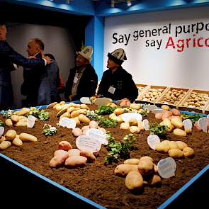 Na tal van andere landen in de afgelopen jaren stond de Agrico-locatie in Bant dit jaar geheel in het teken Oekraïne. Agrico-directeur Jan van Hoogen: „De aardappel is hier het belangrijkste AGF-gewas. Wat productie betreft staat Oekraïne op de vijfde pl