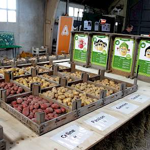 Volgens Jan-Eric Geersing van Caithness Potatoes heeft de extreme zomer zeker ook in de pootgoedteelt behoorlijk zijn sporen nagelaten, met doorwas en schurft als zichtbare gevolgen. „Maar doordat de phytophthoradruk relatief laag was, is 2018 voor de bio