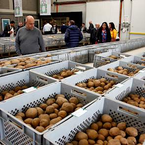 Het probleem van het afgelopen groeiseizoen laat zich ook bij handelshuis Den Hartigh duidelijk zien. Waar de kistenrijen met de op klei en zware klei geteelde aardappelen strak naast elkaar in het gelid staan, vertoont de rij met de op zand geteelde rass