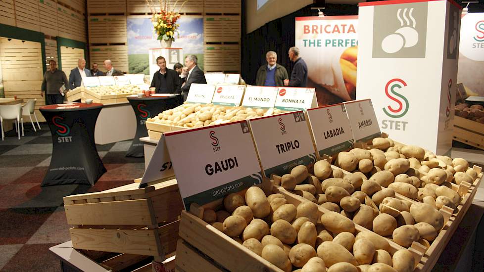 Handelshuis Stet Potato hanteert een duidelijke opdeling in twee segmenten: vers en verwerking. Jhonatan Bringas Dimitriades, Sales Manager Fresh: „Door de extreem droge zomer, zo is mijn verwachting, is er dit jaar zo'n 15 tot 20 procent minder pootgoed.