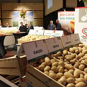 Handelshuis Stet Potato hanteert een duidelijke opdeling in twee segmenten: vers en verwerking. Jhonatan Bringas Dimitriades, Sales Manager Fresh: „Door de extreem droge zomer, zo is mijn verwachting, is er dit jaar zo'n 15 tot 20 procent minder pootgoed.