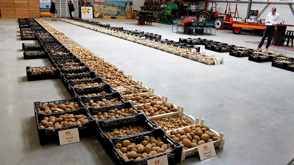 Bij The Potato Company in Emmeloord staat het hele rassenscala met de oogstresultaten van drie Europese proefveldlocaties - Norfolk (VK), Bologna (IT) en Mericourt (FR) - overzichtelijk in de hal. Ook hier komen de extreme zomermaanden meteen bovendrijven