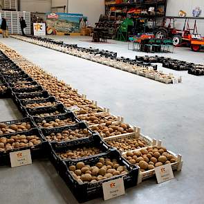 Bij The Potato Company in Emmeloord staat het hele rassenscala met de oogstresultaten van drie Europese proefveldlocaties - Norfolk (VK), Bologna (IT) en Mericourt (FR) - overzichtelijk in de hal. Ook hier komen de extreme zomermaanden meteen bovendrijven