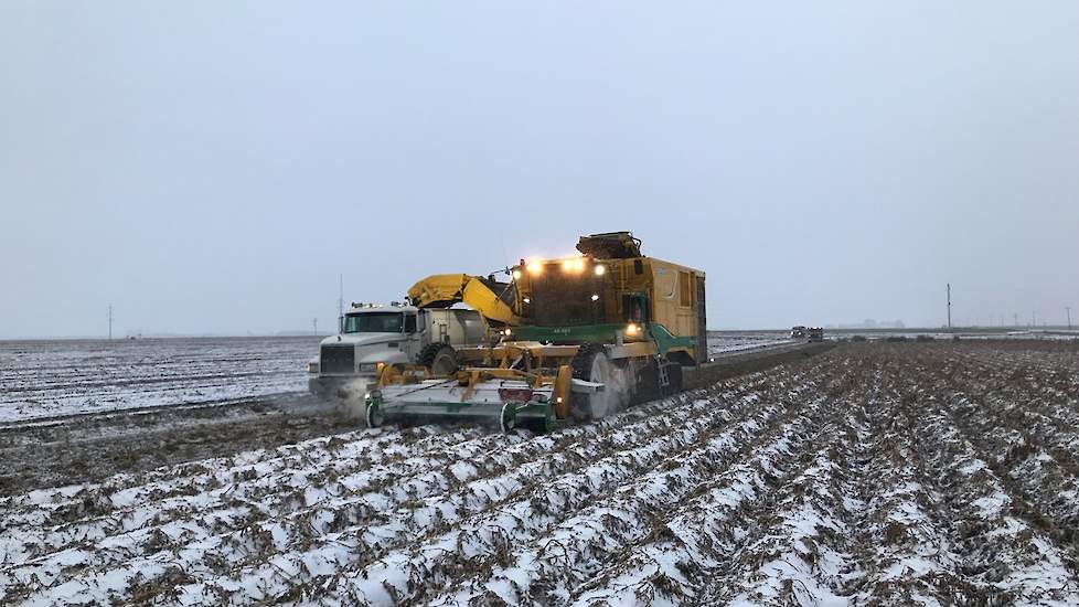 De eerste sneeuw was al gevallen toen de laatste aardappelen nog moesten worden gerooid.