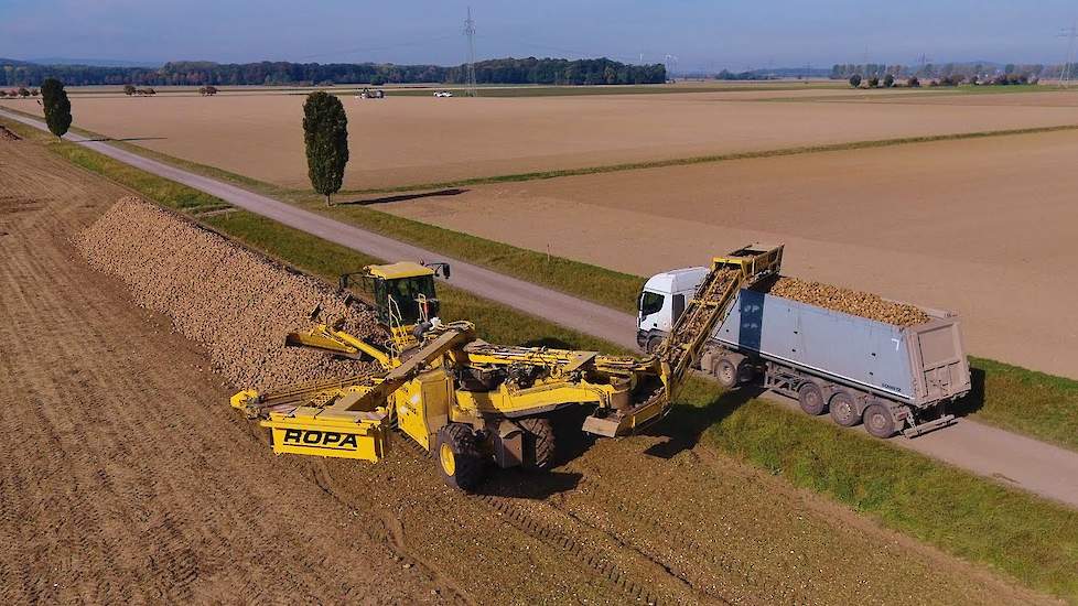 Rübenverladen | Ropa Maus 5 | Landtechnik Niedersachsen