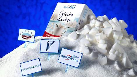 Südzucker verwacht aanzienlijk slechter resultaat lopend boekjaar - Akkerwijzer