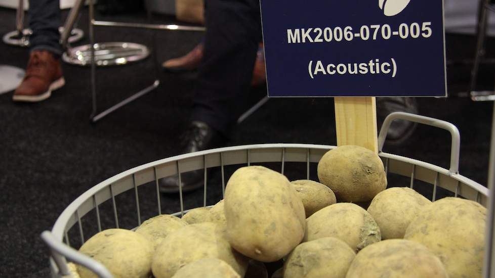 Meijer uit Rilland stond op de beurs met de bekende tafelaardappel genaamd Acoustic.