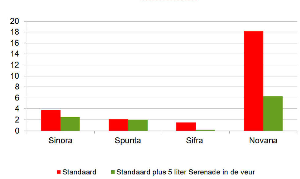 Grafiek 1: percentage Zilverschurft