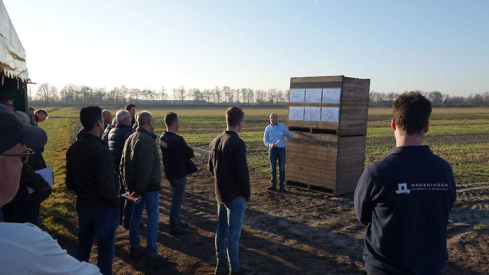 Collega Johnny Visser van WUR Open Teelten deelt zijn kennis over het onderwerp aaltjes in relatie tot groenbemesters. „Mijn advies: probeer een groenbemester te nemen die aaltjes op je perceel niet vermeerdert. Dus ken je percelen, weet welke aaltjes er