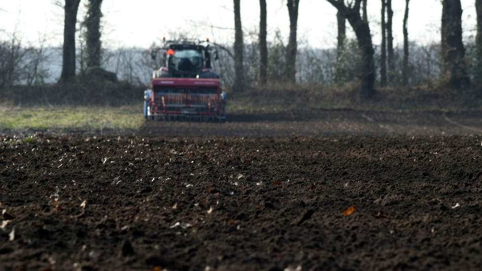 Naast zomergerst teelt Buiter consumptieaardappelen, zetmeelaardappelen, pootaardappelen, suikerbieten en wintergerst en -tarwe. De wintergranen staan er goed bij, aldus de akkerbouwer.