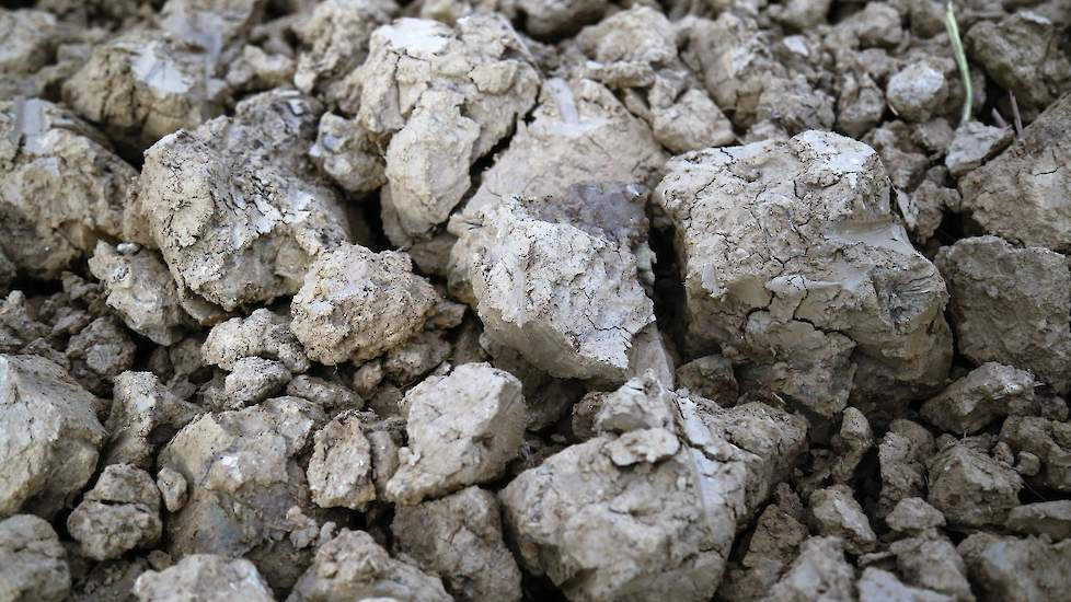 Doorweekte Klei Of Veenachtige Grond