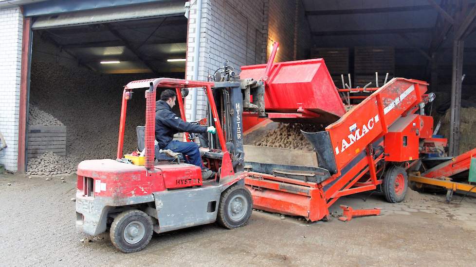 De Amac-stortbak met transportband heeft Beijer in 2016 aangeschaft toen er voor de eerste keer uien werden geteeld. Len: „In 2017 hebben deze installatie voor de eerste keer ook voor de aardappelen gebruikt. Daarvoor teelden we aardappelen voor de huisve